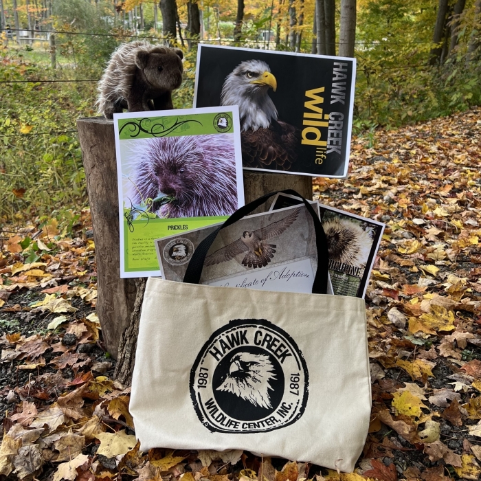 Adoption Tote - Porcupine