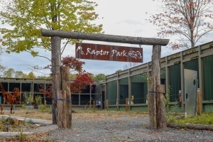 2019_Abby Mandris_Building_Raptor Park