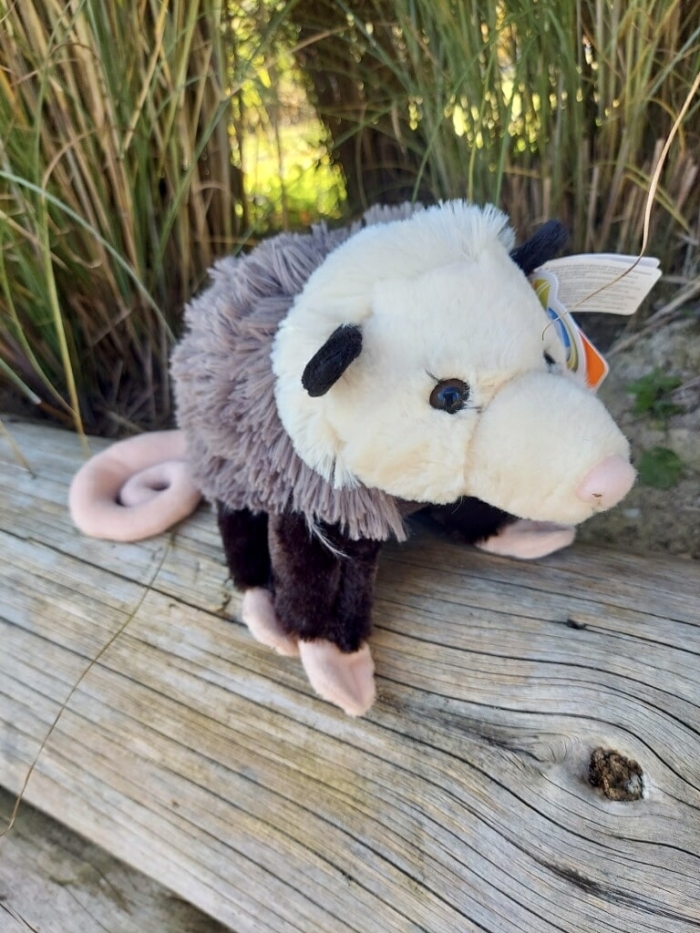 Opossum