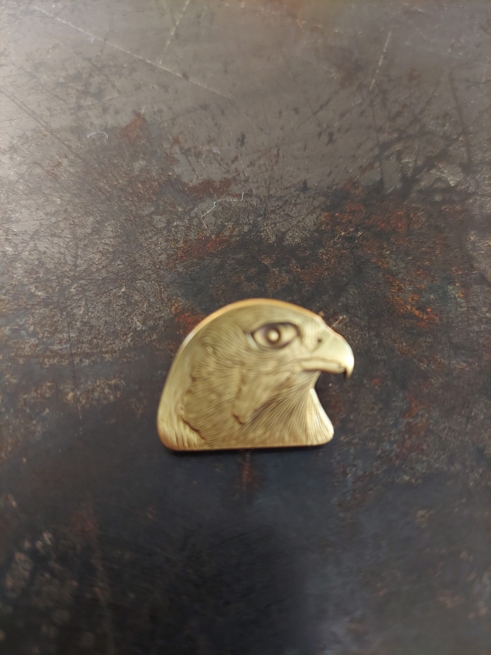 Bird of Prey Pin