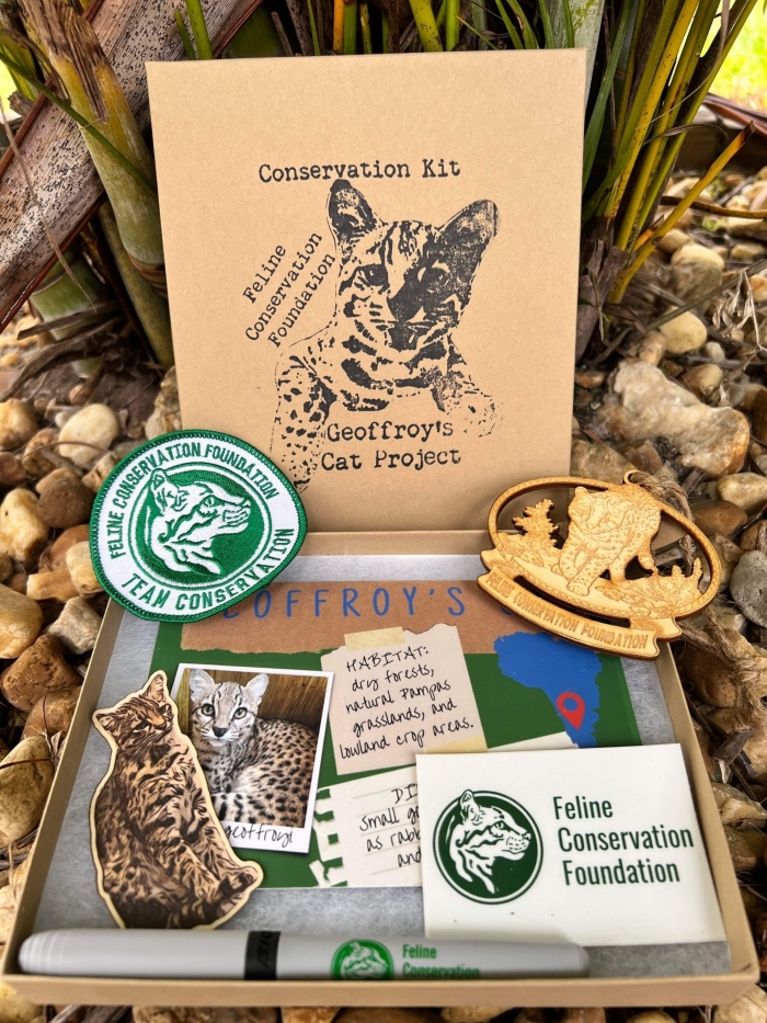 Geoffroy's Cat Conservation Kit