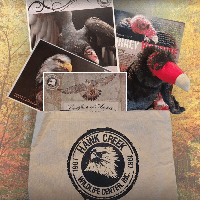 Adoption Tote - Turkey Vulture