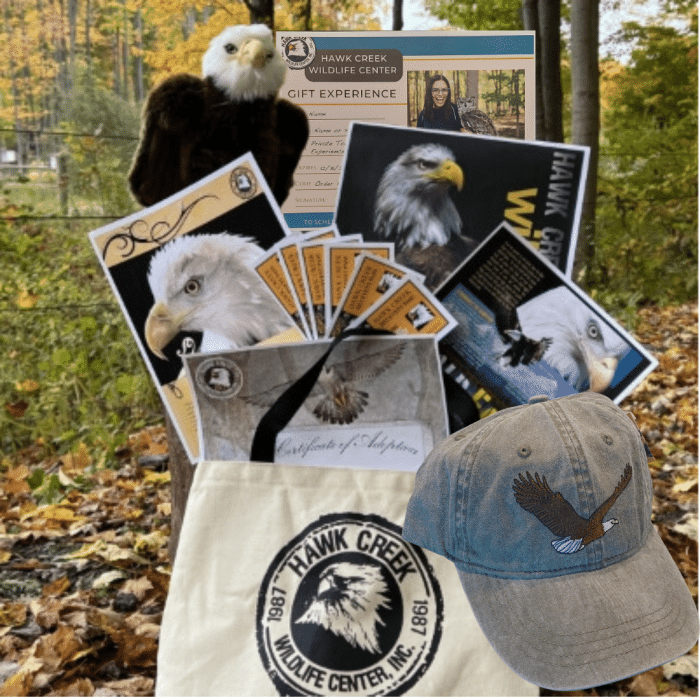 Adoption Tote - Bald Eagle