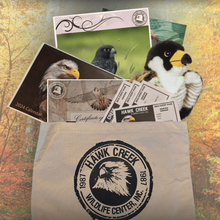 Adoption Tote - Peregrine Falcon