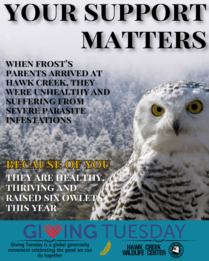 Giving Tuesday Donation - Image 4