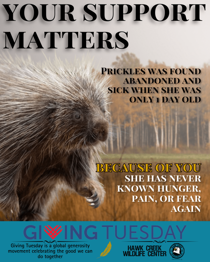 Giving Tuesday Donation - Image 3