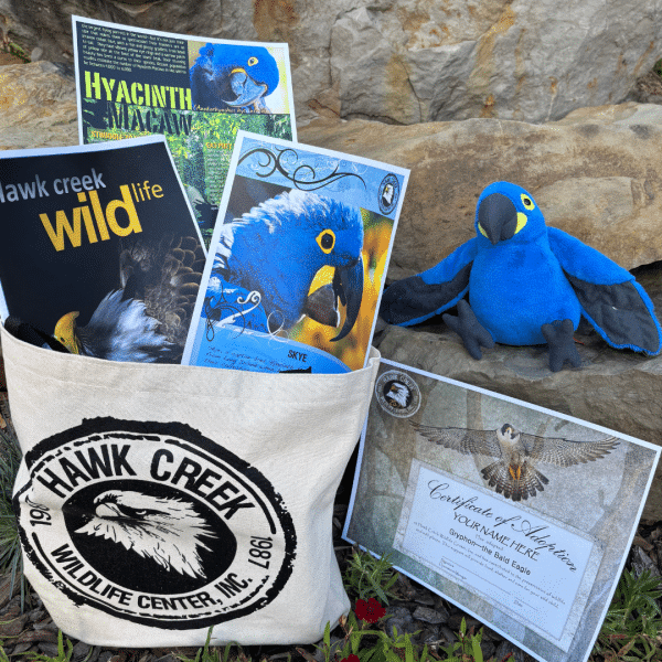 Adoption Tote- Hyacinth Macaw