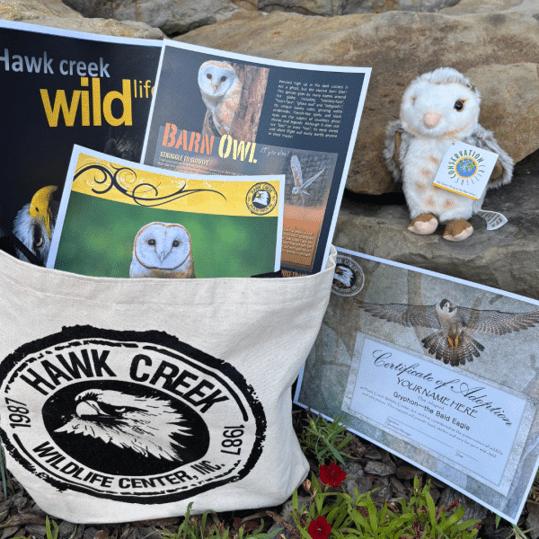 Adoption Tote - Barn Owl