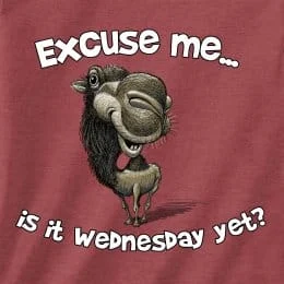 Funny Camel Tee