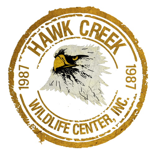 Hawk Creek Wildlife Center Logo