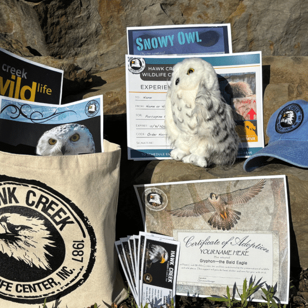 Adoption Tote - Snowy Owl