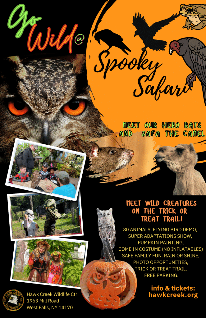 spooky safari event poster 