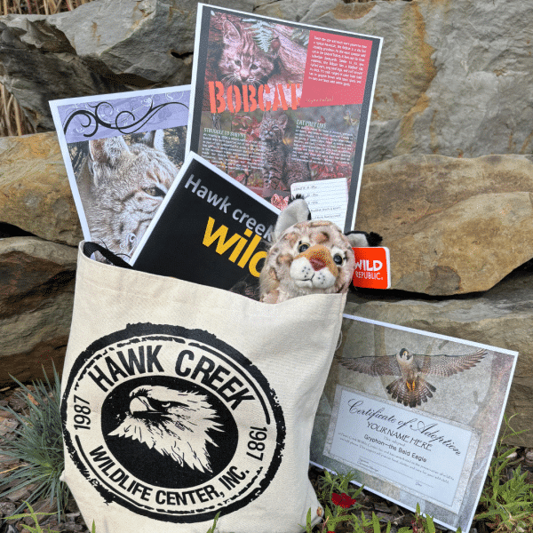 Adoption Tote - Bobcat